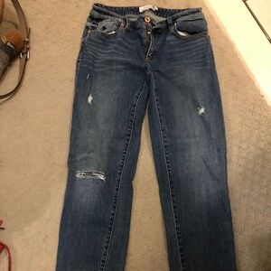 LL bean signature jeans